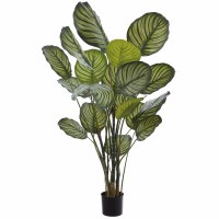 5' Faux Two-toned Green Calathea Plant in Black Plastic Pot