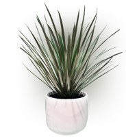 16" Faux Green and Gray Whipple in White Cement Pot