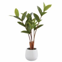 15" Faux Green Zamioculcas in White Ceramic Vase