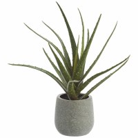 12" Faux Green Aloe in Gray Plastic Pot