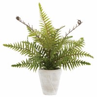14" Faux Green Boston Fern in Beige Cement Pot