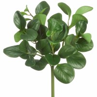 16" Faux Green Peperomia Bush