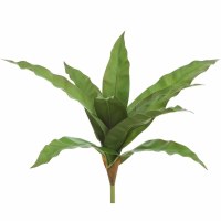 14" Faux Green Bird's Nest Fern