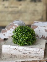 5.5" Faux Light Green Boxwood Half Orb