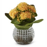 7.5" Faux Yellow Kalanchoe In Textured Glass Vase