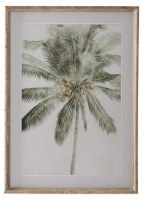27" X 20" Thick Fronds Palm Framed Under Glass