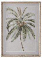 27" X 20" Thin Fronds Palm Framed Under Glass