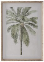 27" X 20" Thin Trunk Palm Framed Under Glass