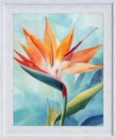 37" x 31" One Bird of Paradise in White Washed Frame Coastal Gel Print