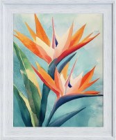 37" x 31" Two Birds of Paradise in White Washed Frame Coastal Gel Print