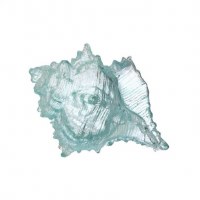 8" Clear Aqua Resin Conch Shell
