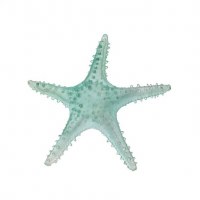 10" Clear Aqua Resin Starfish