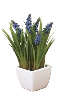 9" Faux Grape Hyacinth in White Pot