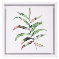 8" Sq Areca Framed Canvas