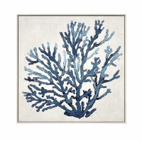 32" Sq Partial Blue Coral Framed Coastal Canvas