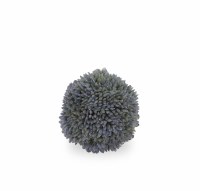 2" Dark Blue Sedum Orb