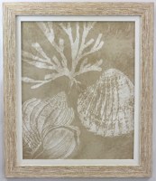 28" x 24" White and Beige Shells 2 Gel Textured Print in Distressed Wood Frame