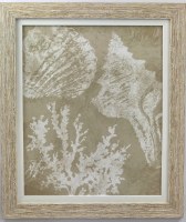 28" x 24" White and Beige Shells 2 Gel Textured Print in Distressed Wood Frame