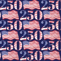 5" Sq USA "250" Beverage Napkins
