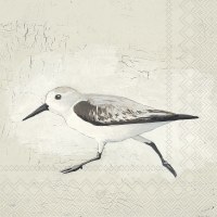 5" Sq Beige Sandpiper Beverage Napkins