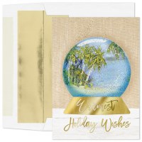 Box of 16 8" x 6" "Warmest Holiday Wishes" Snow Globe With Palm Coastal Christmas Cards