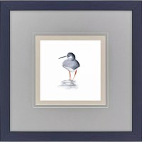 18" Sq Backside Shorebird Framed Coastal Print