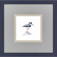 18" Sq "V" Leg Shorebird Framed Coastal Print