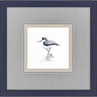 18" Sq "Y" Leg Shorebird Framed Coastal Print