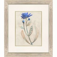 23" x 20" Two Bud Blue Flower Framed Print