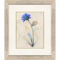 23" x 20" No Bud Blue Flower Framed Print