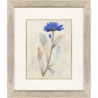 23" x 20" Small Bud Blue Flower Framed Print