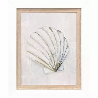 18" x 15" Beige Scallop Framed Coastal Print