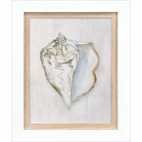 18" x 15" Beige Whelk Framed Print