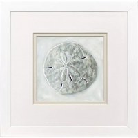 11" Sq Sand Dollar Framed Coastal Print