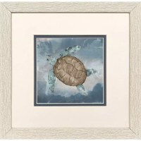 11" Sq One Eye Turtle Framed Print