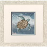 11" Sq No Eye Turtle Framed Print