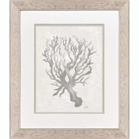 22" x 19" Taupe Coral Framed Print