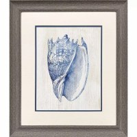 22" x 19" Blue Spike Shell Framed Coastal Print