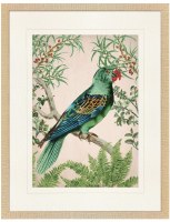 32" x 24" Green Parrot Framed Print