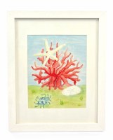 15" x 12" Coral Starfish and Crab Framed Wall Art Under Glass