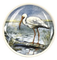 6" Ibis Plate