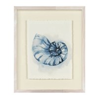 19.5" x 16" Blue Nautilus Framed Print