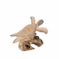 8" Natural Turtle Wood Sculpture on Driftwood Base