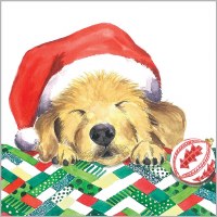 5" Sq Christmas Puppy Beverage Napkins