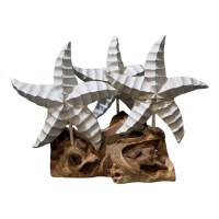 13" Three Whitewash Starfish on Driftwood Base