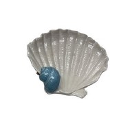 6" White Scallop Ceramic Dish With Shell