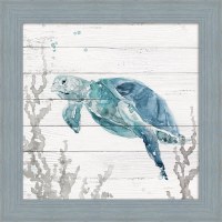 32" Sq Blue Turtle 1 Gel Textured Coastal Print in Wedgewood Blue Frame