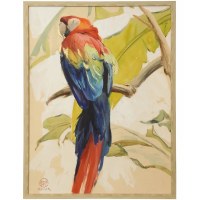 42" x 32" Red and Blue Parrot Framed Coastal Canvas