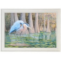 35" x 49" Blue Heron in Swamp Framed Print Under Glass