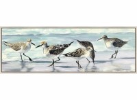 22" x 62" Five Sandpipers on the Beach Coastal Canvas in a White Frame